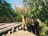 Hillsborough1.jpg