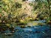 Hillsborough2.jpg
